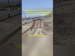 원산지 가동 중량 시스템 속도 0.5-105km/h 정확한 가중을 위해