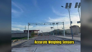 중앙아시아 직접 단속